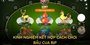 Một số kinh nghiệm kết hợp bầu cua bịp hiệu quả